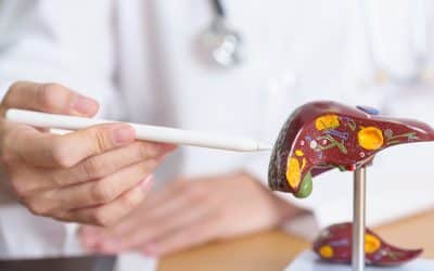 Fat in Your Liver, Trouble in Your Gut? Understanding Fatty Liver Disease 